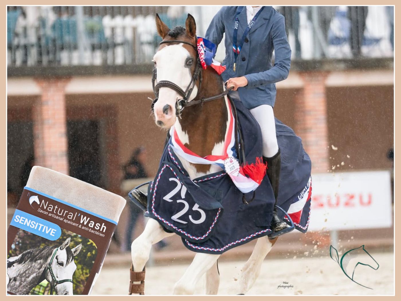 Préparer son cheval pour les championnats : le guide complet avec Natural'Innov