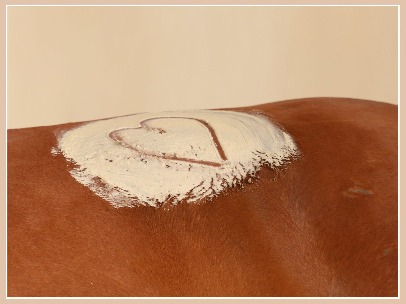 Tout savoir sur l'argile pour chevaux : pourquoi, comment, quand et laquelle choisir ? 🧡