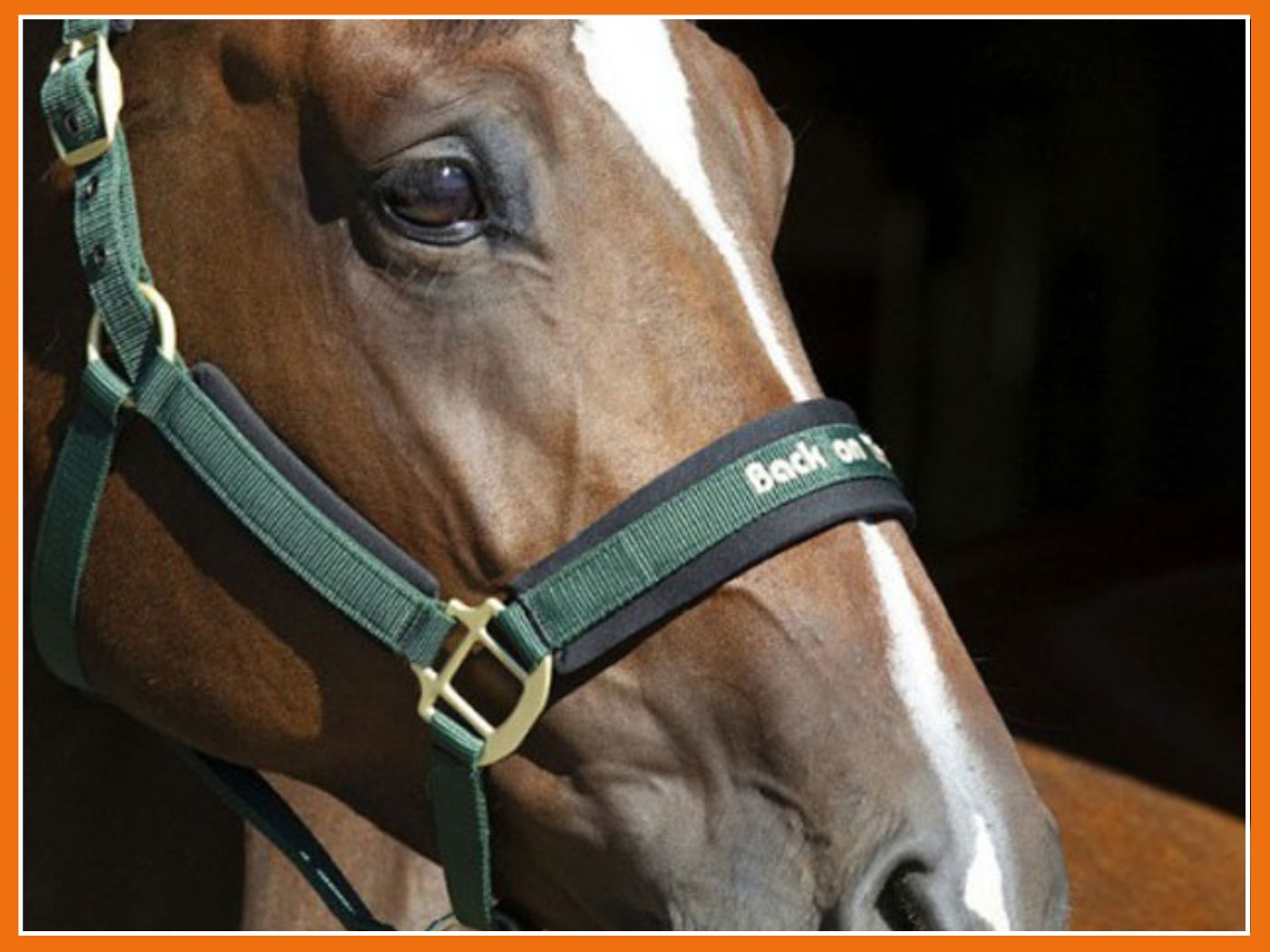 Back On Track : Quèsaco ?