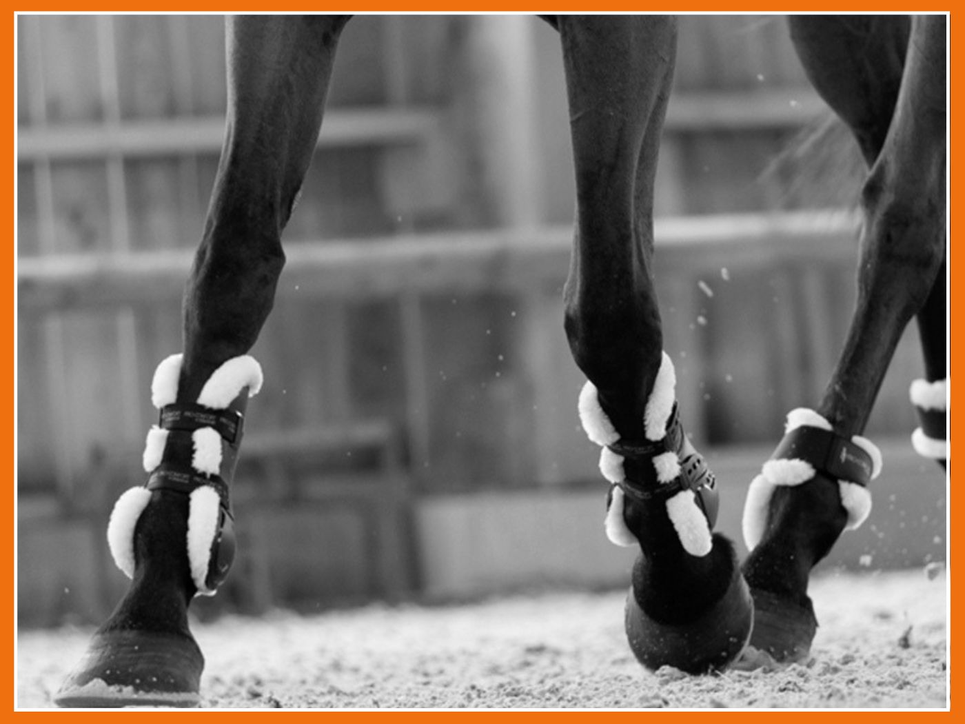 Comment bien choisir ses guêtres ? 🤔