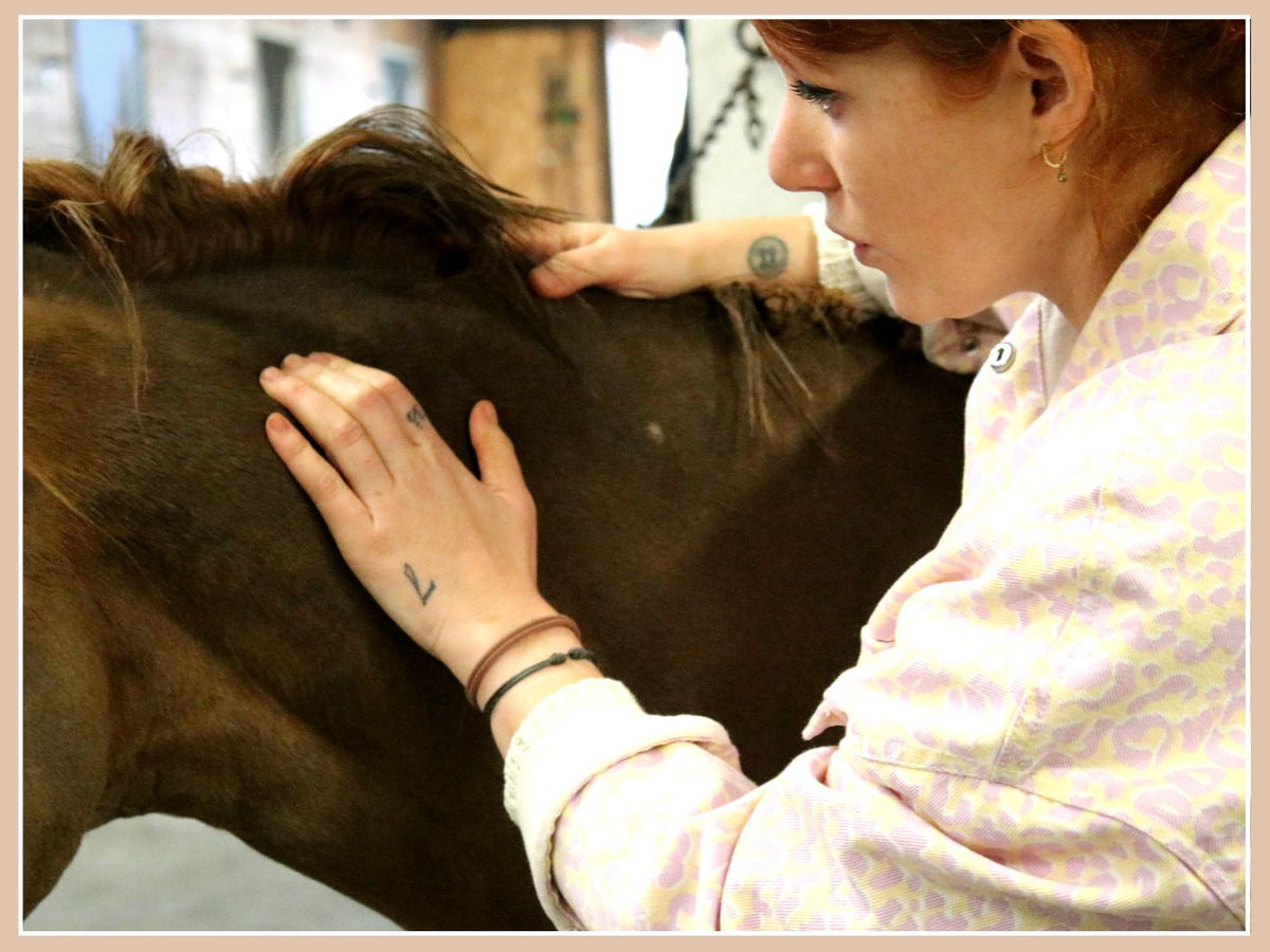 Cavalière massant l'encolure de son cheval avec une huile de massage Alodis Care