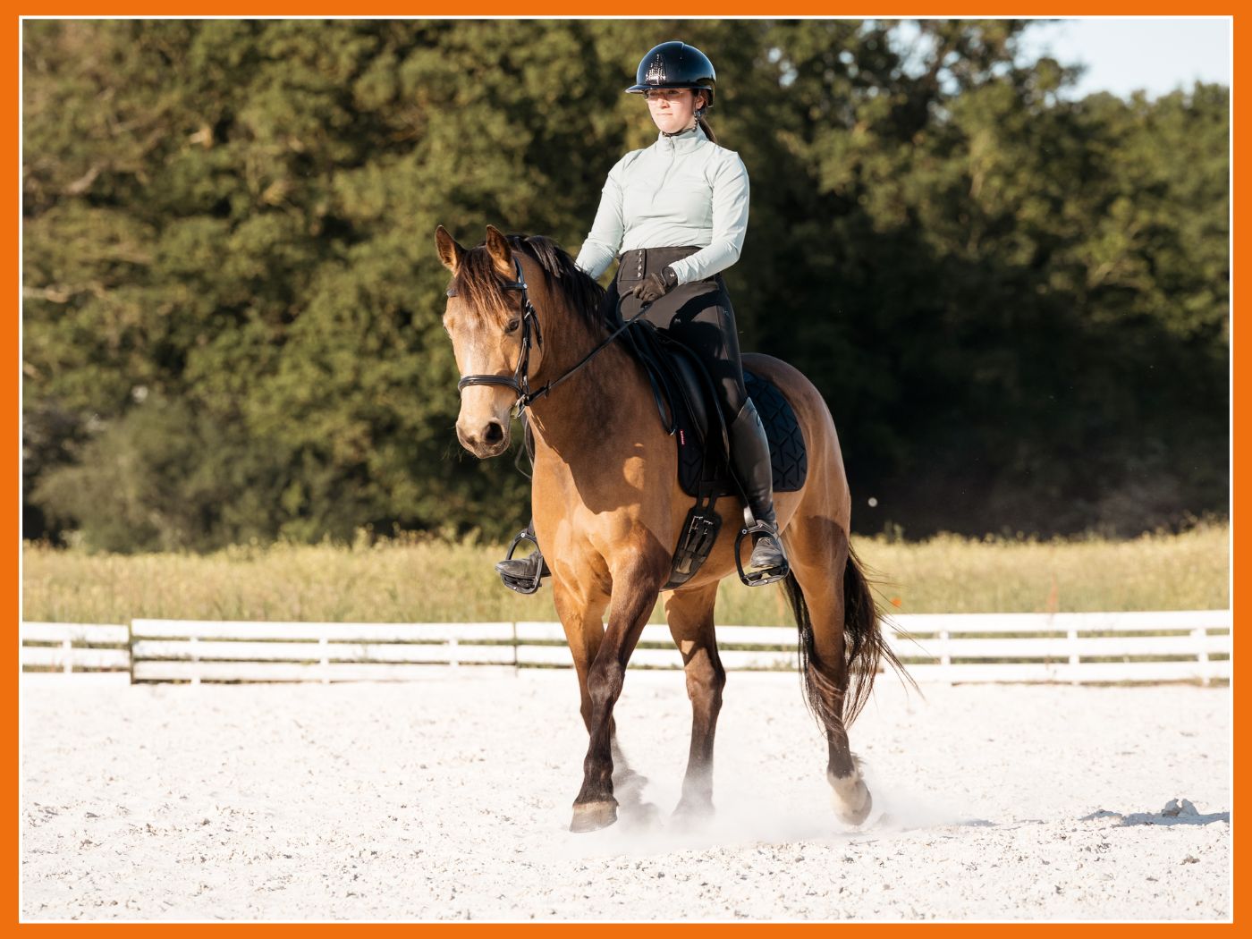 Les nouveautés Kingsland, des pantalons d'équitation adaptés à votre morphologie