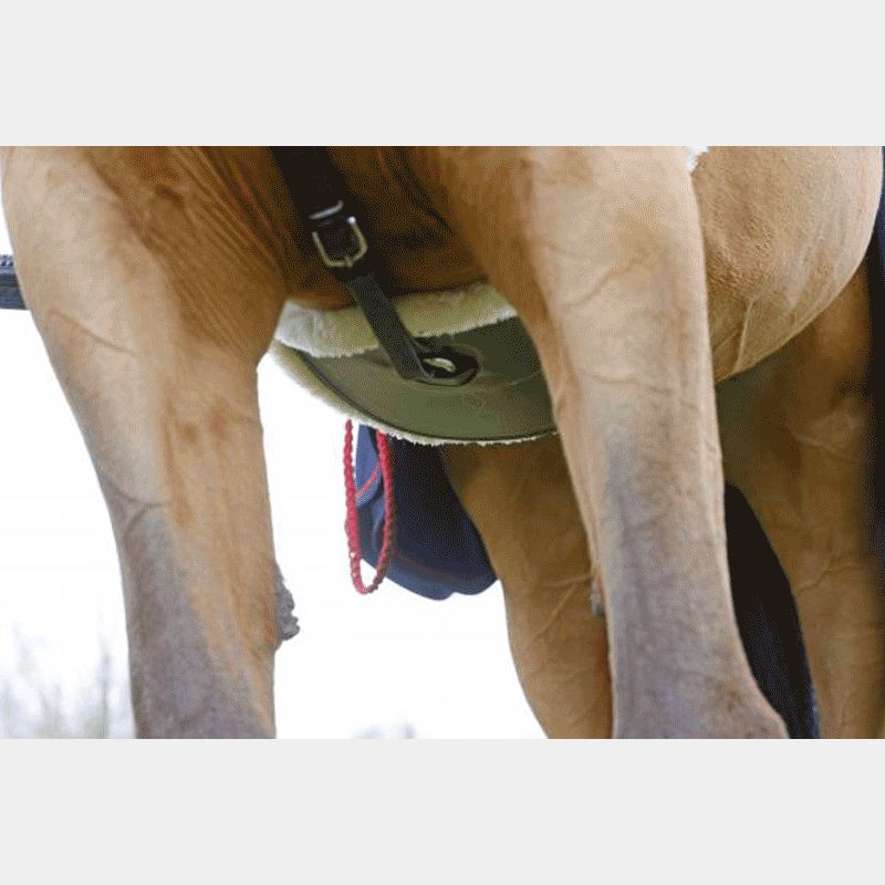 Kentucky Horsewear - Sangle bavette mouton noir | - Ohlala