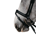 Jump'In - Evolution Flash Noseband black | - Ohlala