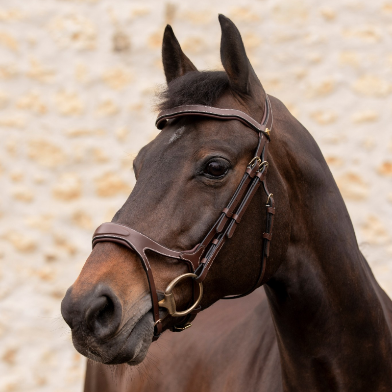 K By Equithème - Havana K-KADENCE Bridle
