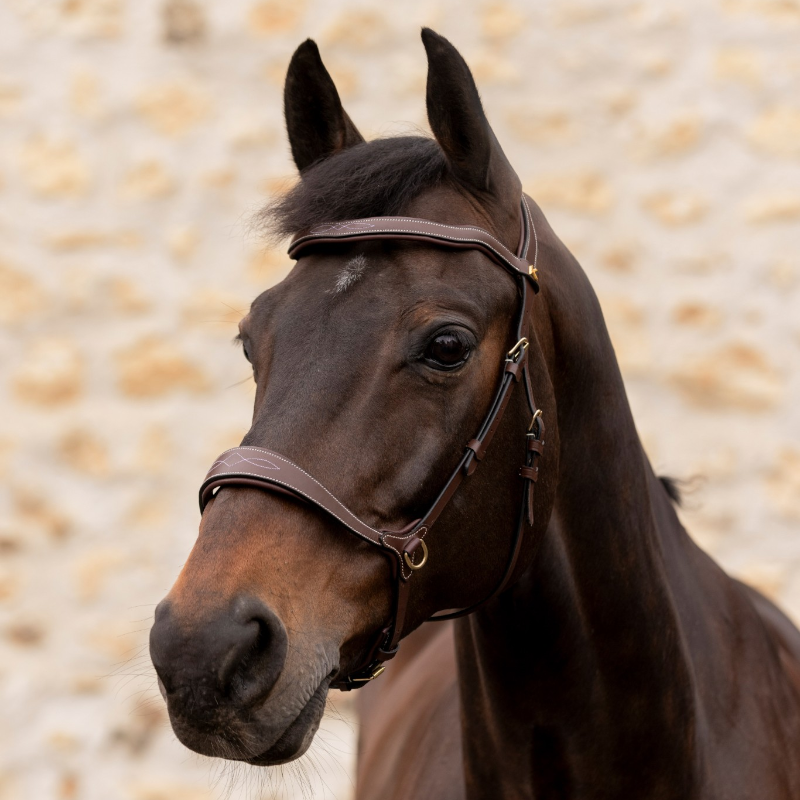 K By Equithème - Havana K-KONNECT Bridle