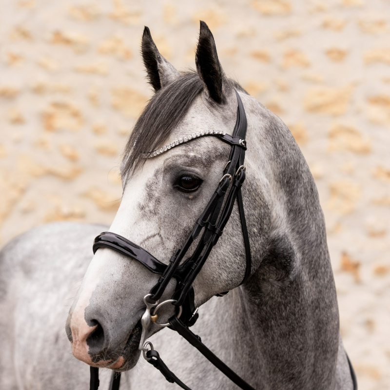 K By Equithème - K-KAPTURE Bridle Black