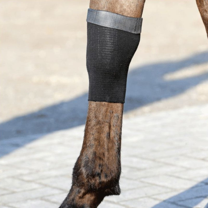 Kentucky Horsewear - Tendon Grip Chaussette Gel | - Ohlala