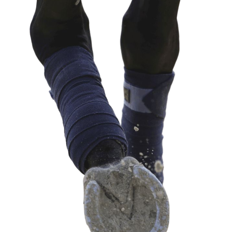 Kentucky Horsewear - Polo bandages marine (x4) | - Ohlala