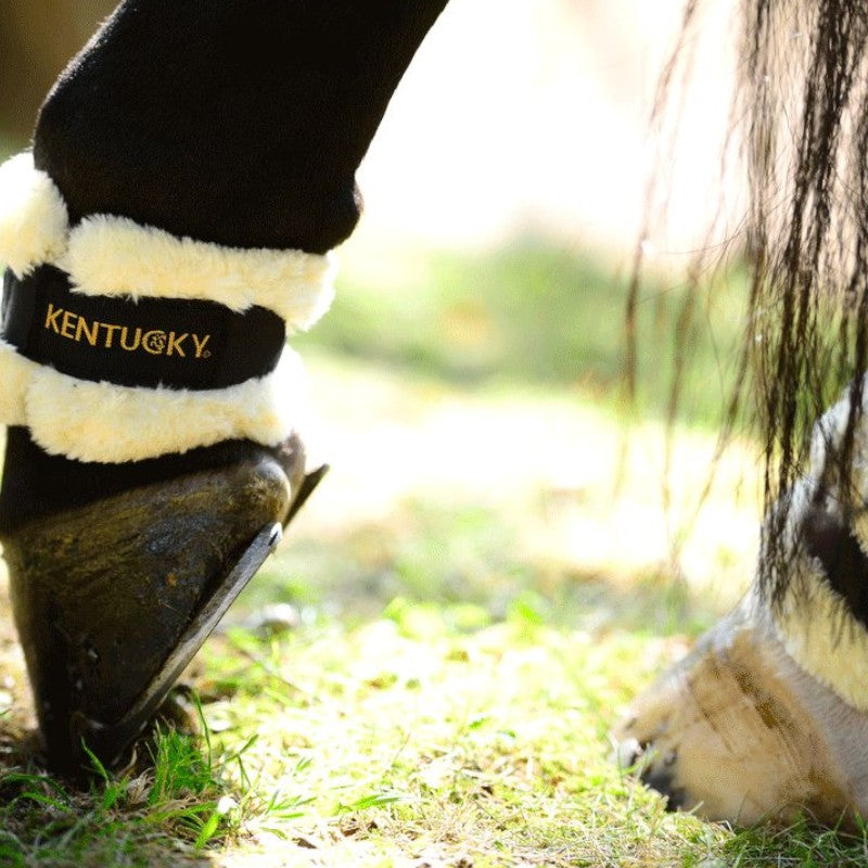 Kentucky Horsewear - Schaffell-Fesselschutz | - Ohlala