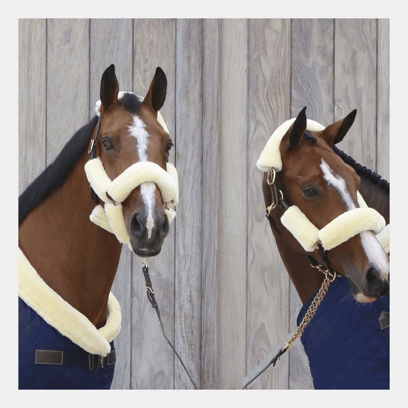 Kentucky Horsewear - ホワイトシープスキンハルターカバー 4個セット | - Ohlala