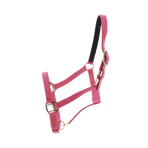 Norton - Licol nylon doublé cuir fuchsia | - Ohlala
