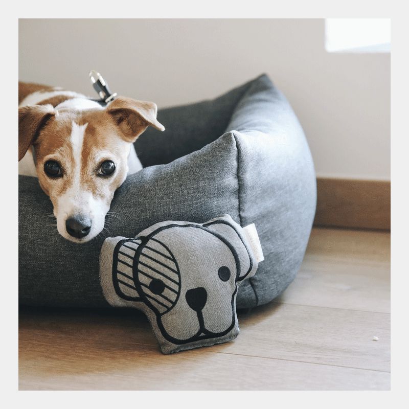 Kentucky Horsewear - Hundespielzeug | - Ohlala