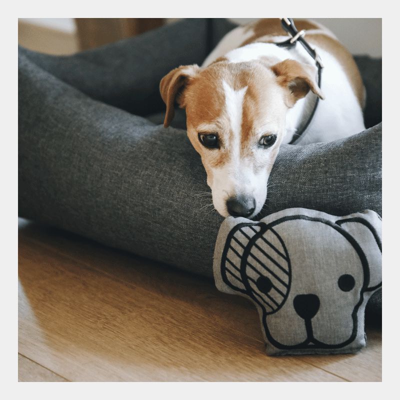 Kentucky Horsewear - Hundespielzeug | - Ohlala