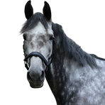Lami-cell - Flexicare Black Headcollar