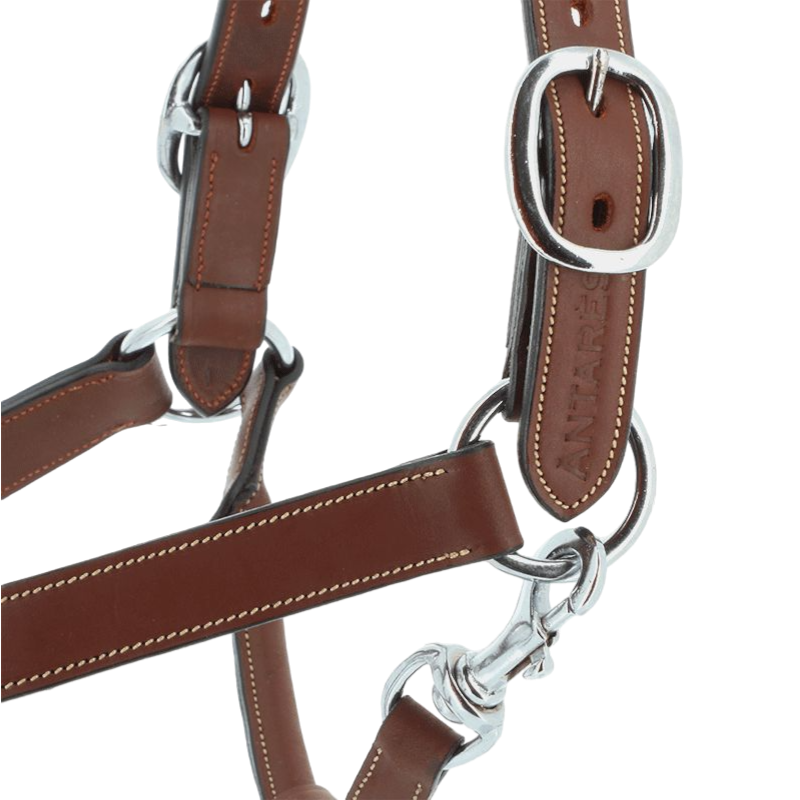 Antarès Sellier - Capezza foderata in pelle marrone | - Ohlala