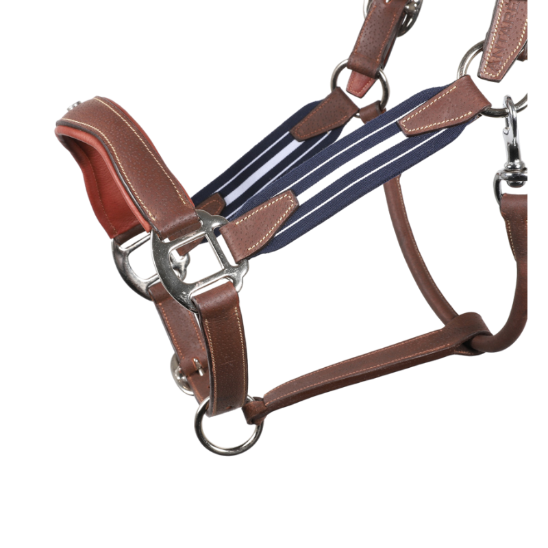 Antarès Sellier - Licol en cuir Stressless grainé havane / marine | - Ohlala