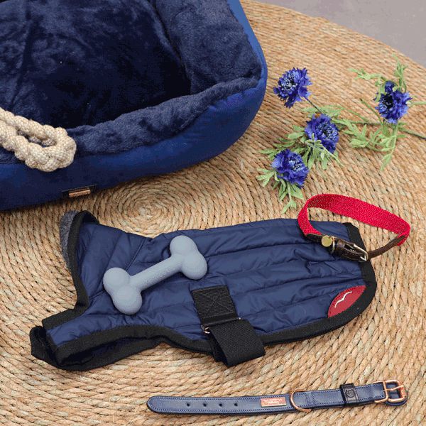Equestrian Stockholm - Obroża dla psa Monaco Blue | - Ohlala