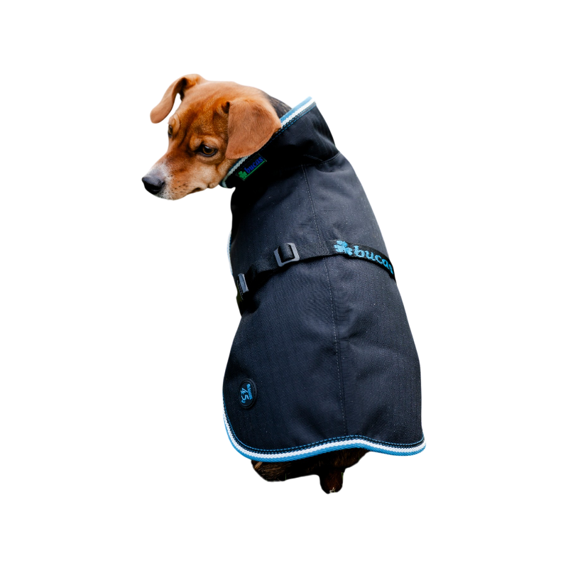 Bucas - Anniversary Dog Blanket Sapphire