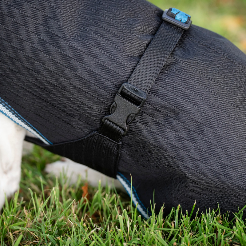 Bucas - Anniversary Dog Blanket Sapphire