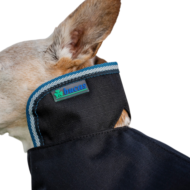 Bucas - Anniversary Dog Blanket Sapphire