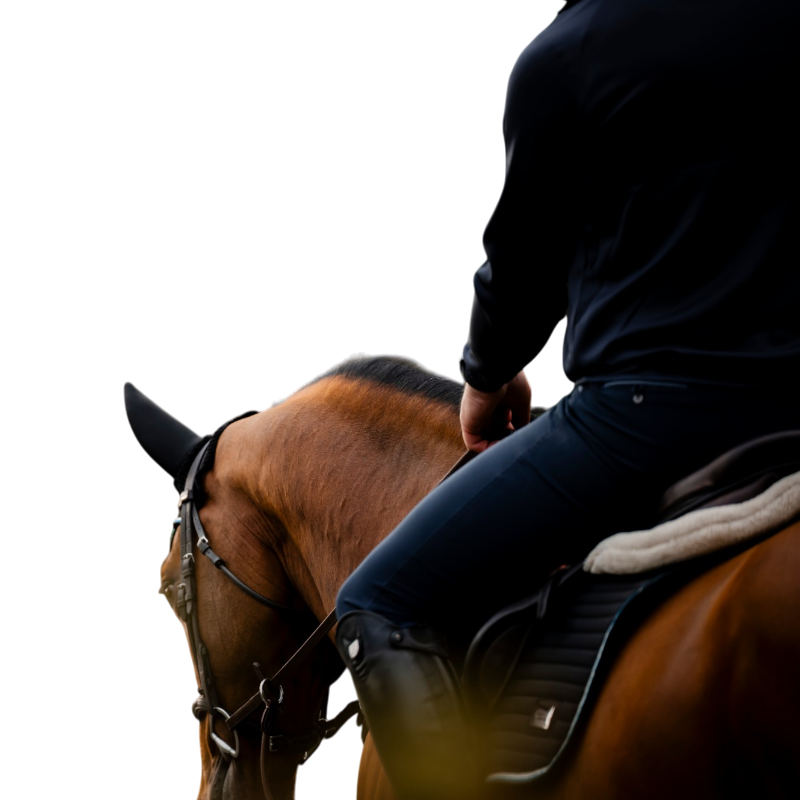 Bucas - Anniversary Sapphire Saddle Pad