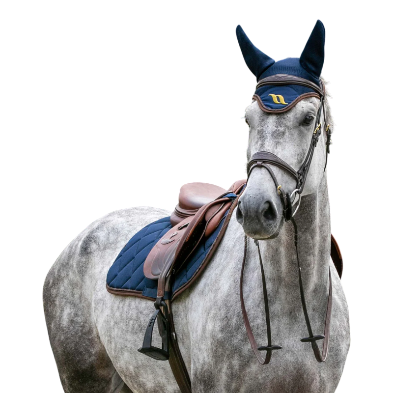 Back On Track - Airflow blue dressage saddle pad | - Ohlala