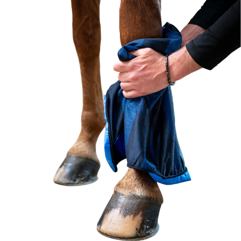 Back on Track - Serviette rafraichissante | - Ohlala