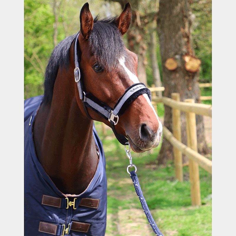 Kentucky Horsewear - 50g Navy Outdoor Blanket | - Ohlala