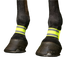Norton - Bandages antérieurs jaune fluo | - Ohlala