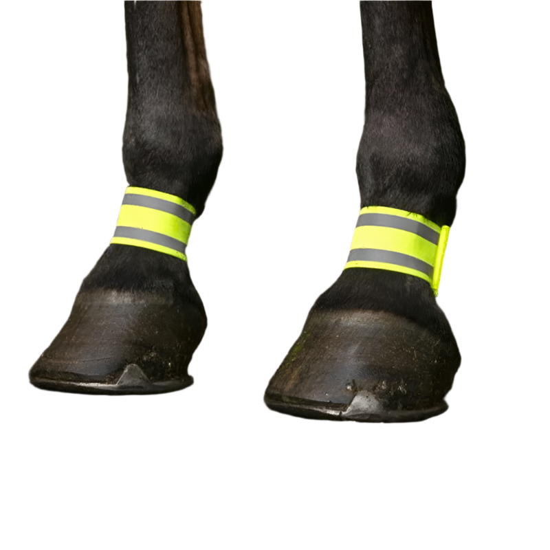 Norton - Voorbandages fluogeel | - Ohlala