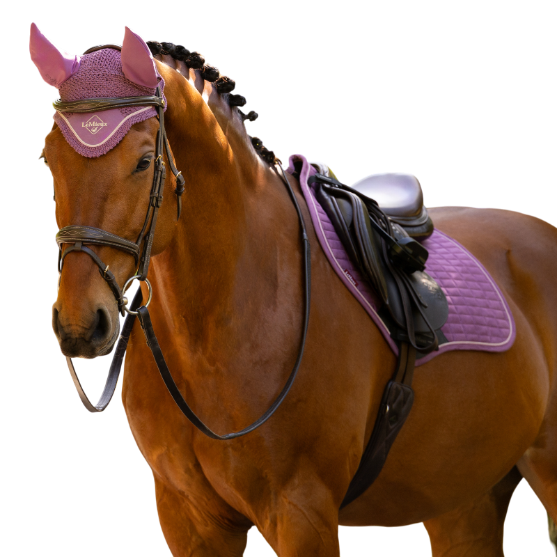 LeMieux - Bonete para caballos Classic mallow | - Ohlala