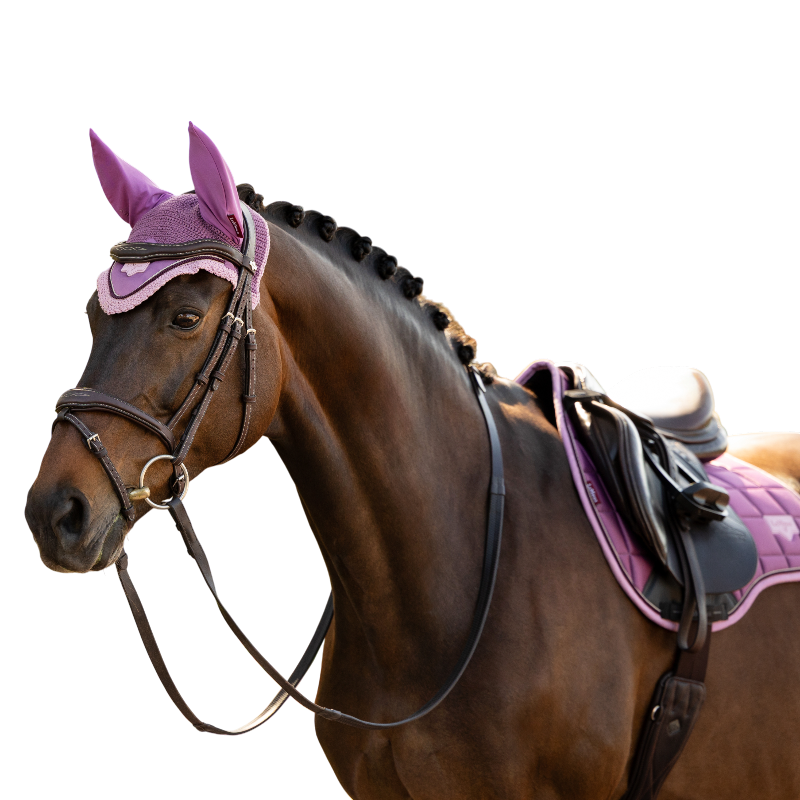 LeMieux - Bonnet pour chevaux Loire mallow | - Ohlala