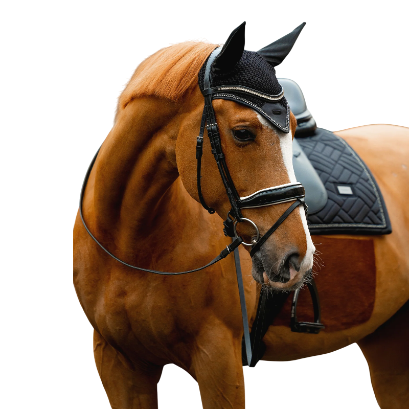 Equestrian Stockholm - Bonnet pour chevaux Modern Crystal noir | - Ohlala