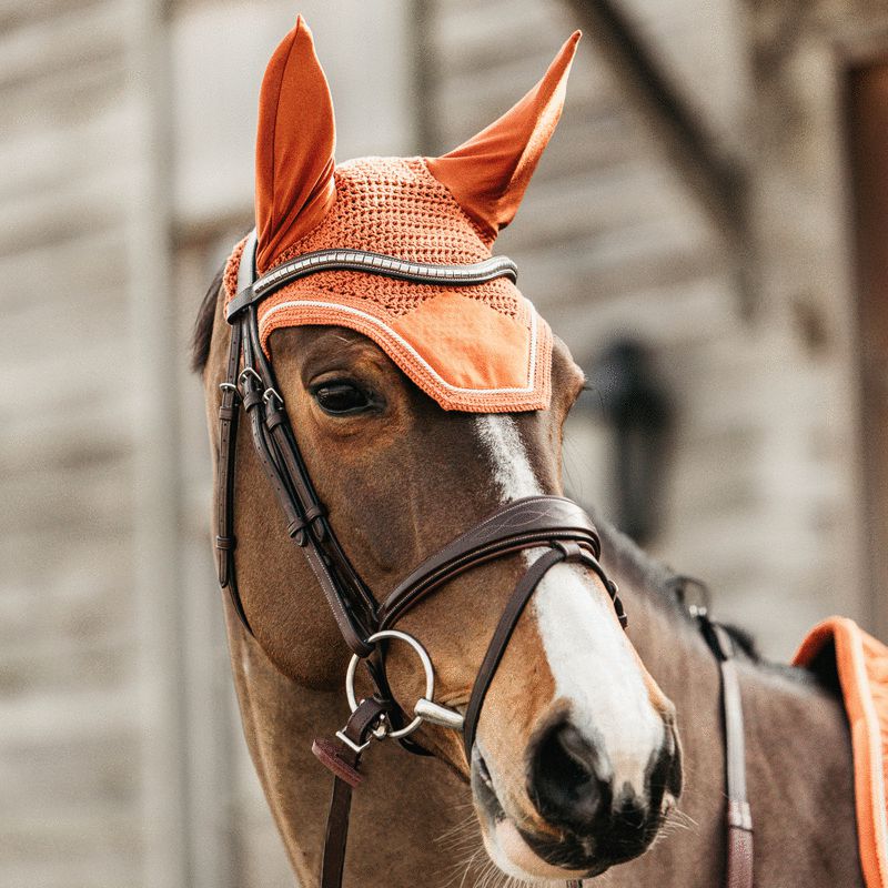 Kentucky Horsewear - ウェリントン ベルベット ボンネット オレンジ | - Ohlala