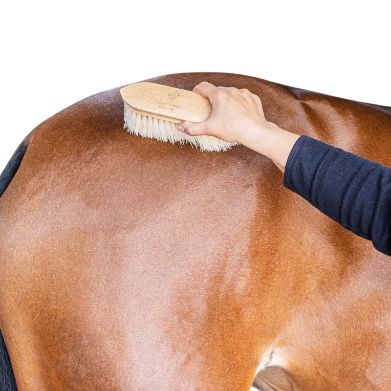 Grooming Deluxe - Tapón de madera con cerdas medianas natural | - Ohlala