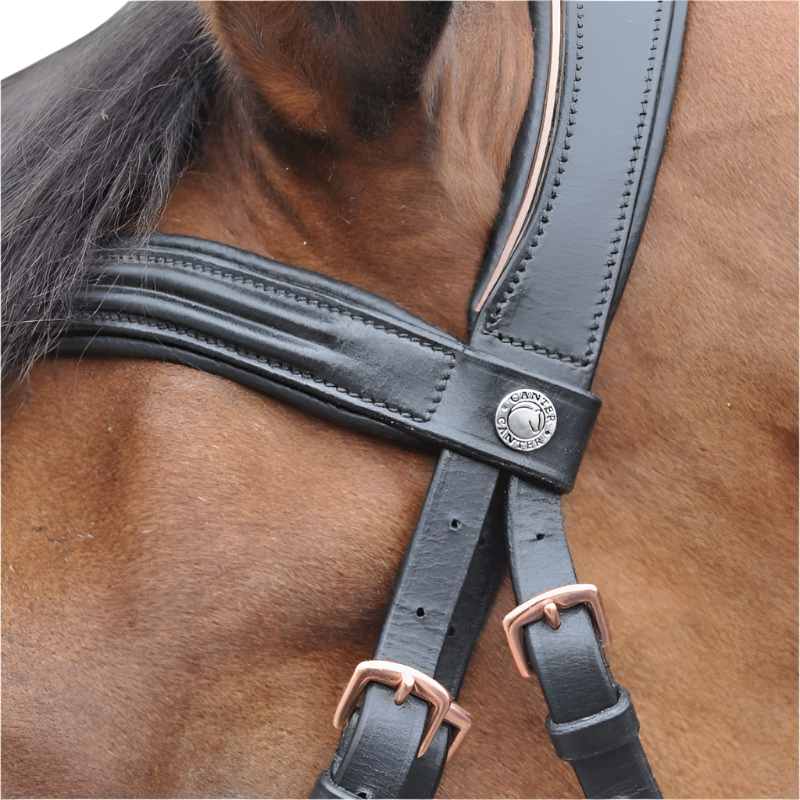 Canter - Bridón rosa gold con riendas negro | - Ohlala