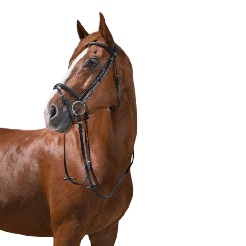 Riding World - Cabezada combinada negra con riendas | - Ohlala