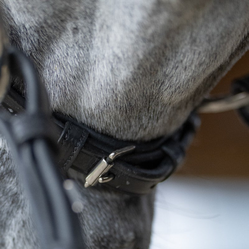 Jump'In - Bridon muserolle allemande Evolution noir | - Ohlala