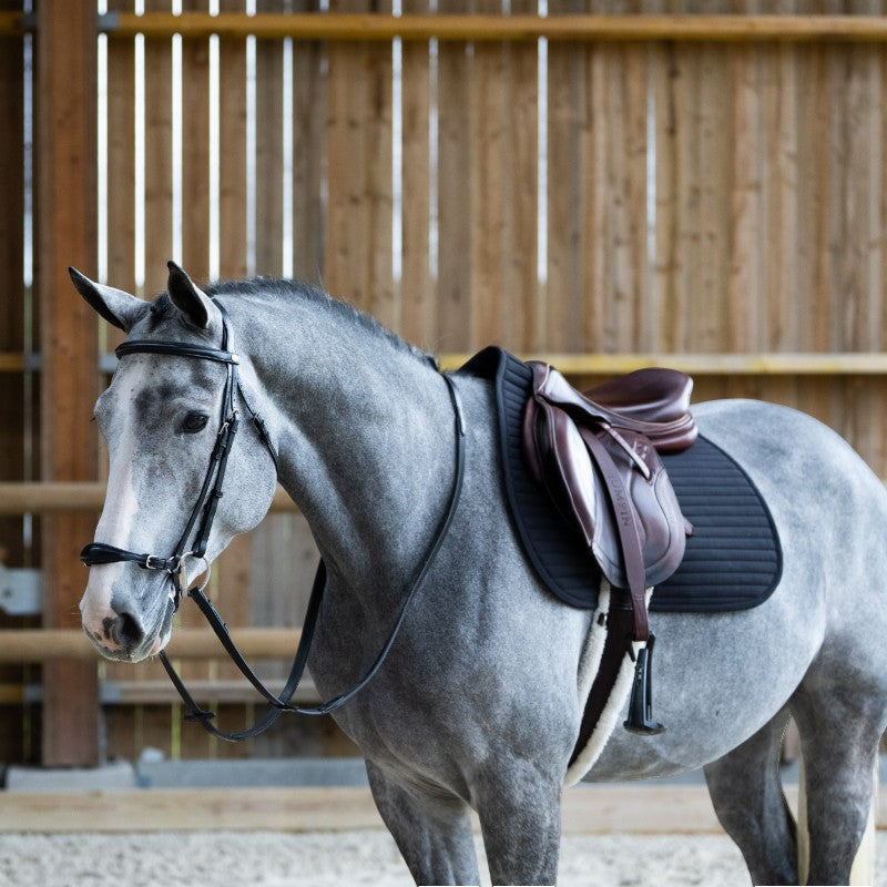 Jump'In - Bridon muserolle allemande Evolution noir | - Ohlala