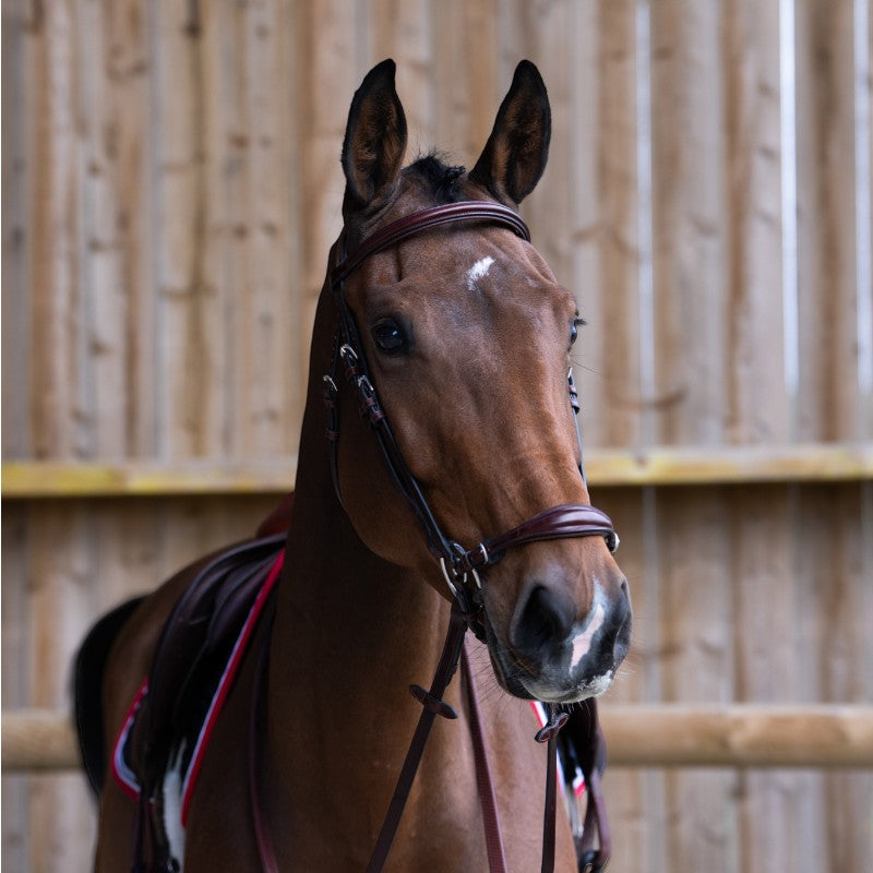 Jump'In - Bridon muserolle allemande Evolution noisette | - Ohlala