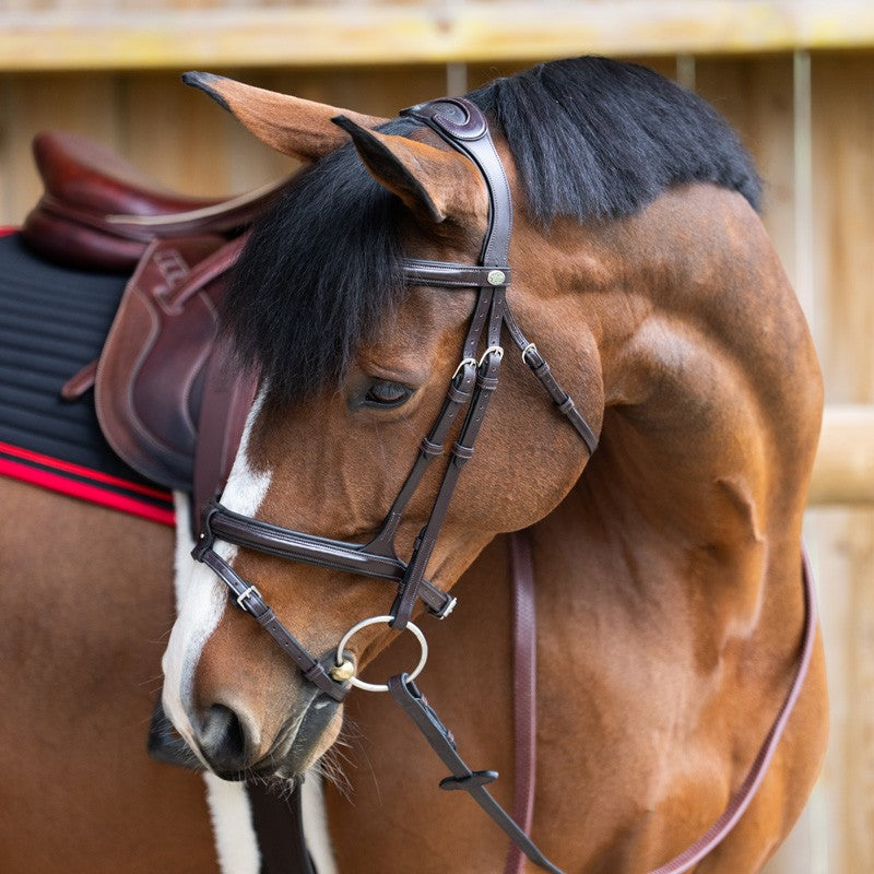 Jump'In - Bridon muserolle combinée Evolution havane | - Ohlala