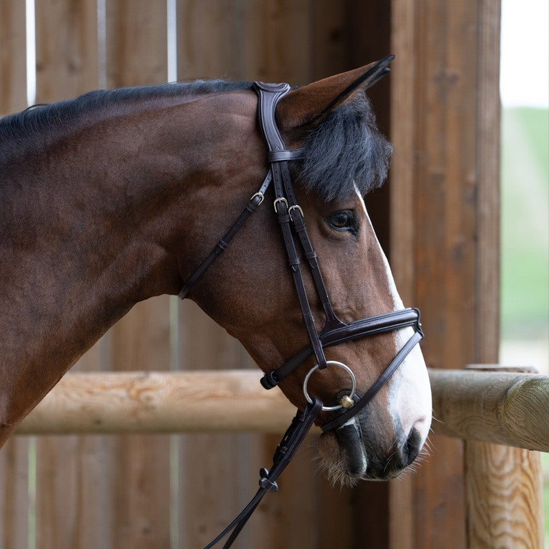 Jump'In - Bridon muserolle combinée Evolution havane | - Ohlala