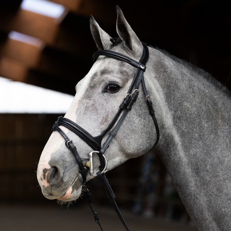 Jump'In - Bridon muserolle combinée Evolution noir | - Ohlala