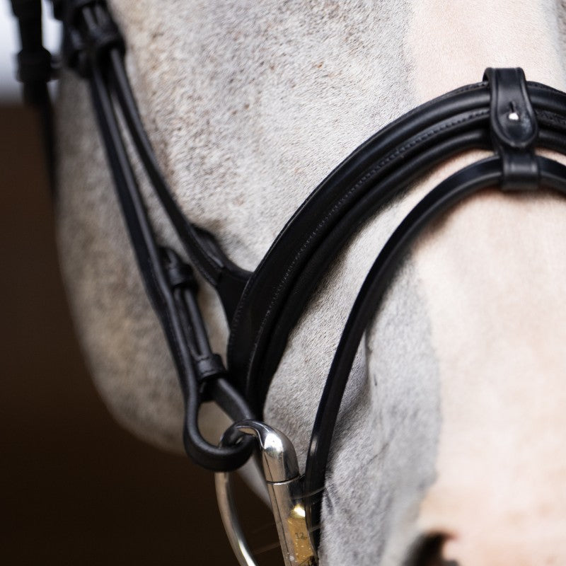 Jump'In - Bridon muserolle combinée Evolution noir | - Ohlala