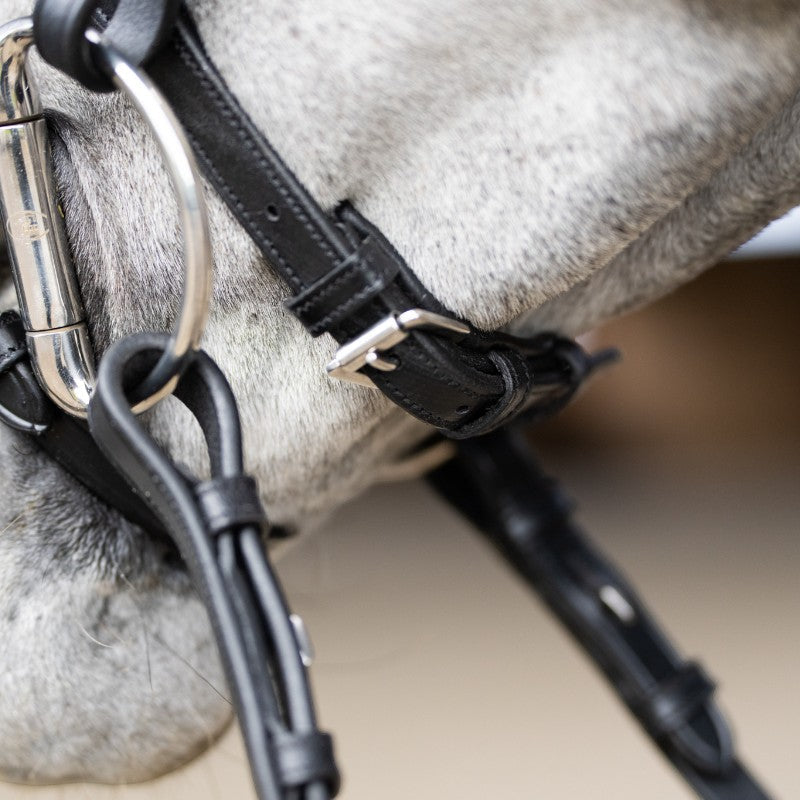 Jump'In - Bridon muserolle combinée Evolution noir | - Ohlala