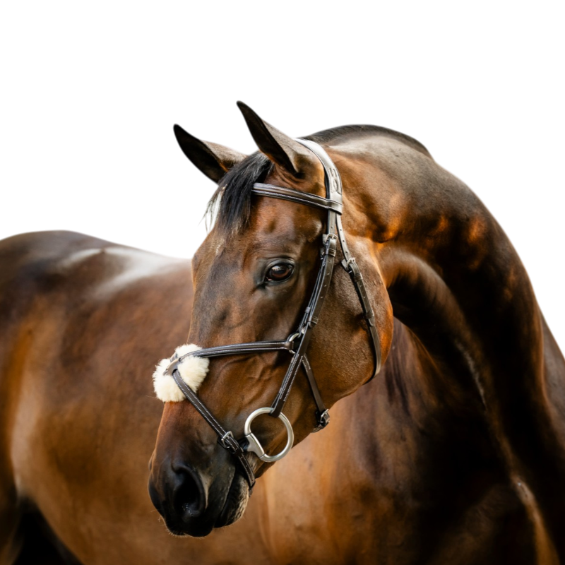 Horseware - Brida muserola cruzada Figure marrón | - Ohlala