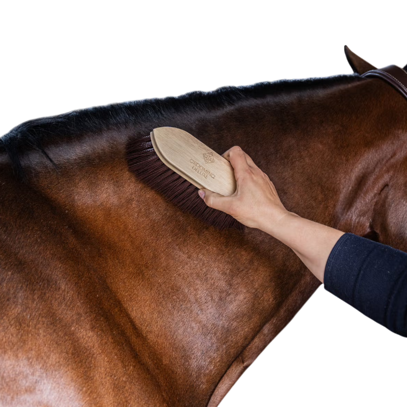 Grooming Deluxe - Miękka drewniana szczotka z długim brązowym włosiem | - Ohlala