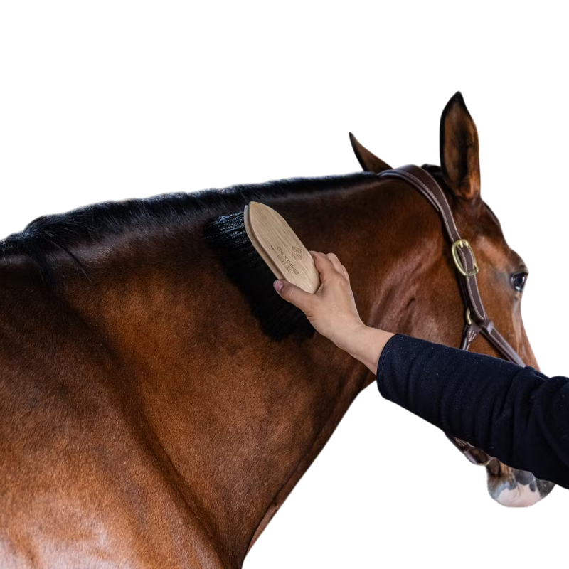 Grooming Deluxe - Zachte houten borstel met lange zwarte haren | - Ohlala
