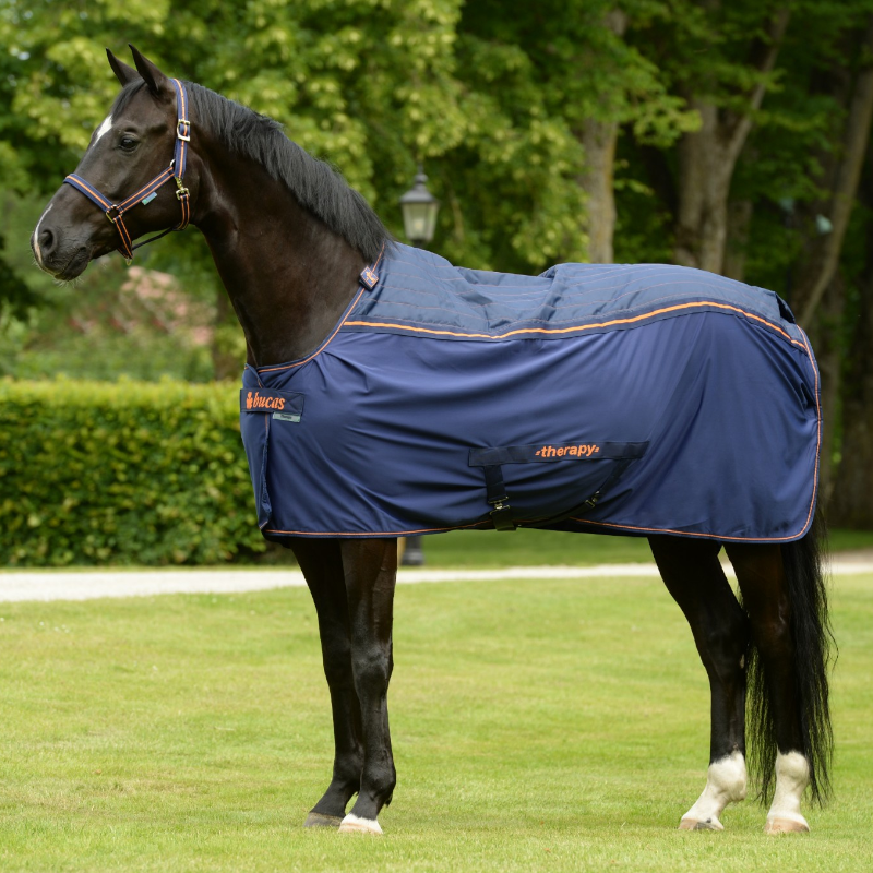 Bucas - Therapy Cooler Rug Navy/ Orange